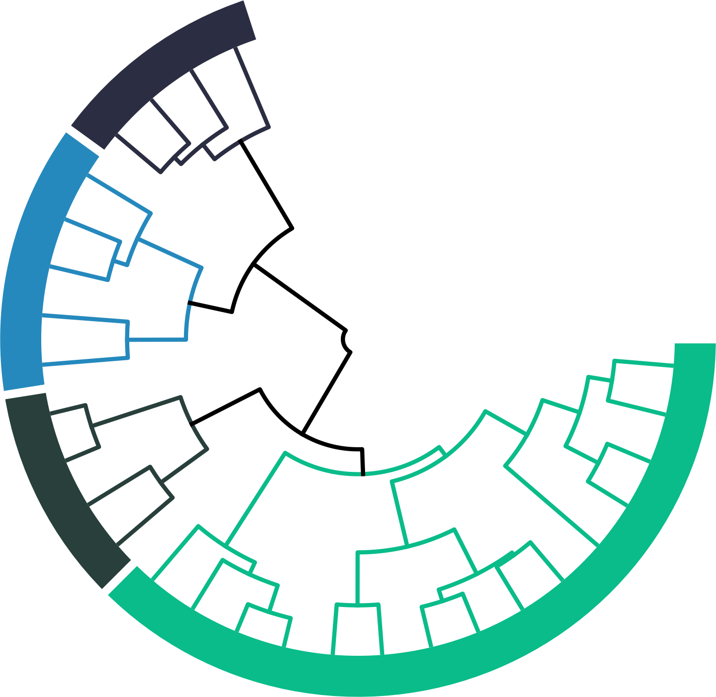 tcr-bcr-phylogeny